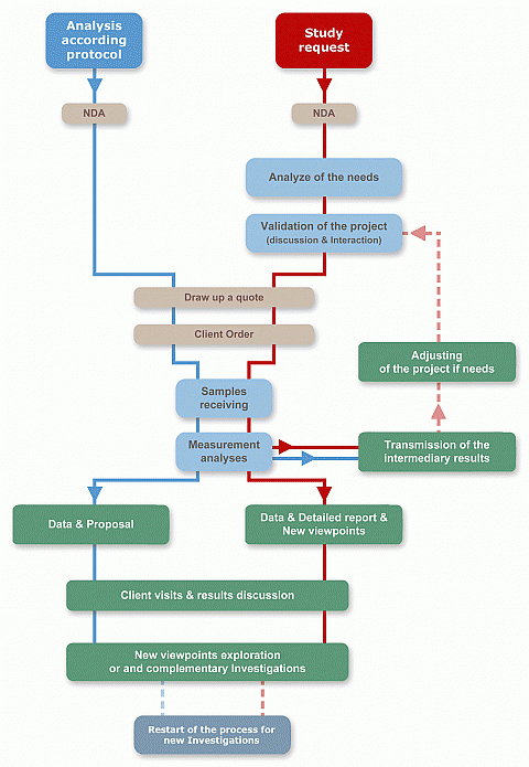 Process of the services