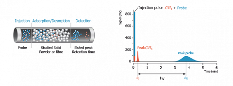 Analysis of the chromatogram.