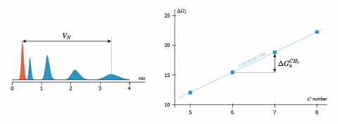 Chromatogram obtained by injection of a series of n-alkanes (left) and the diagram who displays the corresponding ΔG<sup>°</sup><sub>a</sub> values according to their number of carbon (right).