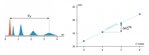 Chromatogram obtained by injection of a series of n-alkanes (left) and the diagram who displays the corresponding ΔG<sup>°</sup><sub>a</sub> values according to their number of carbon (right).