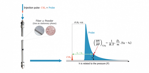 Analysis of the chromatogram